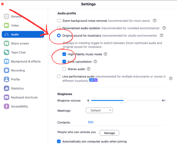 Graphic showing specific audio settings